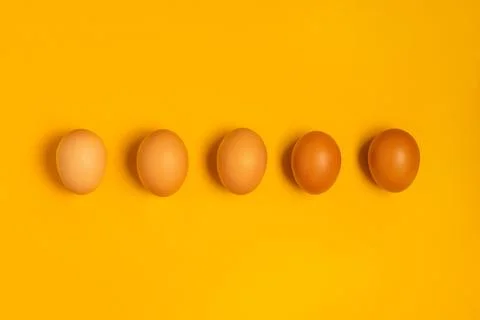 Brown chicken easter eggs on yellow background Stock Photos