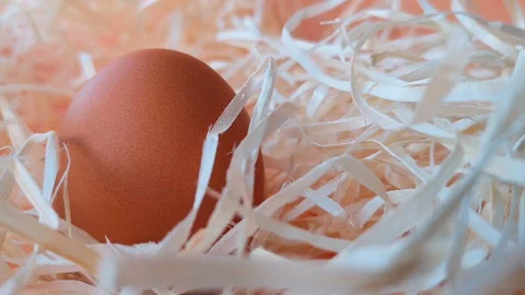 Brown chicken egg among the straw Stock Footage 104589592