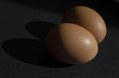 Brown chicken egg on black background Stock Photos