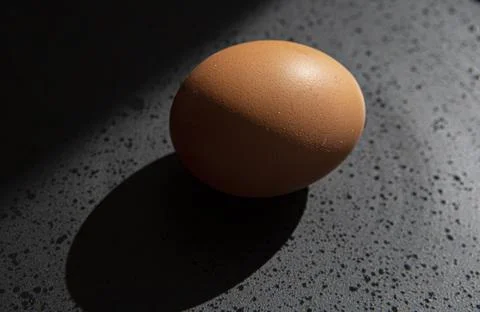 Brown chicken egg on black background Stock Photos