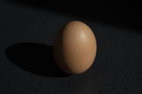 Brown chicken egg on black background Stock Photos
