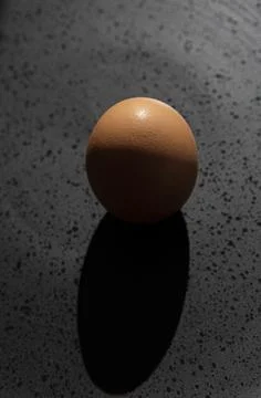 Brown chicken egg on black background Stock Photos
