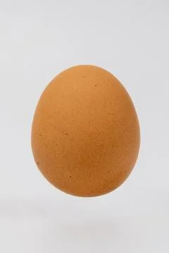 Brown chicken egg floating above plain white background with soft shadow Stock Photos
