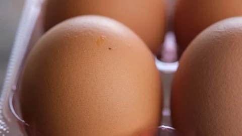 Brown chicken egg Stock Footage 100796970