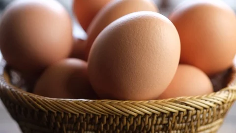 Brown chicken egg Stock Footage 100797121