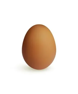 Brown chicken egg isolated on white background. Vector illustration. Stock Illustration