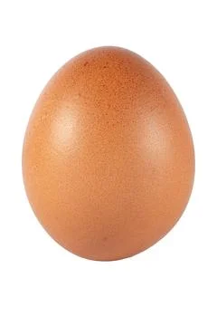 Brown Chicken Egg Isolated on White Background Fotos de archivo