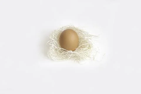 Brown chicken egg on a light soft rag net in the form of a nest Stock Photos