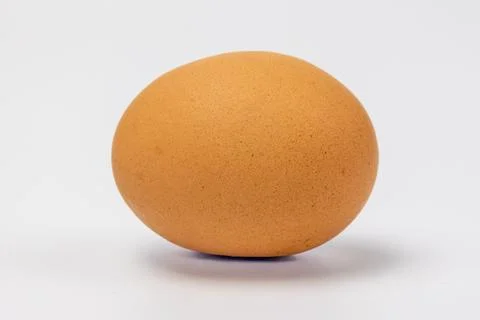 Brown chicken egg lying on side on plain white background Stock Photos