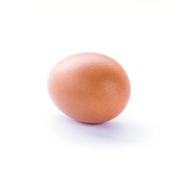 Brown chicken egg Stock Photos