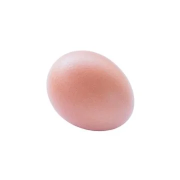Brown chicken egg Stock Photos