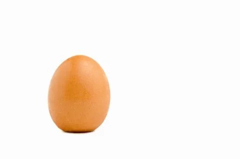 Brown chicken egg Foto stock