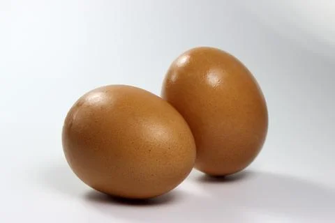 Brown chicken egg Foto stock