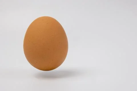 Brown chicken egg positioned on left side of plain white background Stock Photos