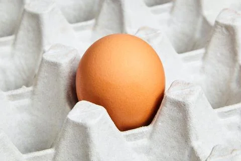 Brown chicken egg in tray Foto stock