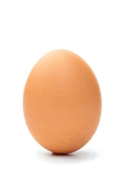 Brown chicken egg on a white background Stock Photos