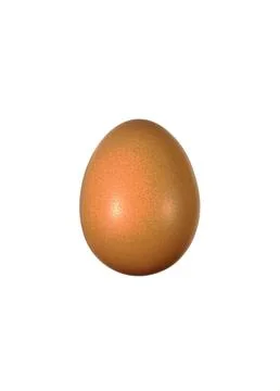Brown chicken egg on a white background. Stock Photos
