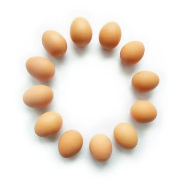 Brown chicken eggs in circle sharp on white background. Stock Photos