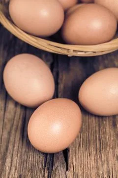 Brown chicken eggs close-up Stock Photos