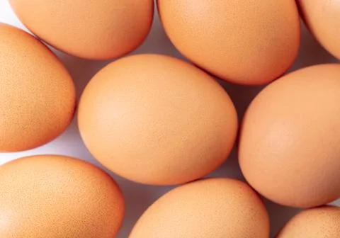 Brown chicken eggs closeup Stock-Fotos