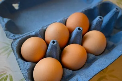 Brown Chicken Eggs in Paper Egg Carton, Close-Up Fresh Food Concept 库存照片
