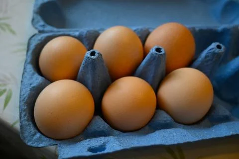 Brown Chicken Eggs in Paper Egg Carton, Close-Up Fresh Food Concept Photos