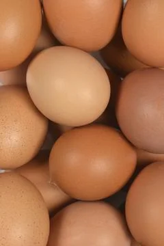 Brown Chicken Eggs Pattern Background Texture Stock Photos