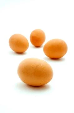 Brown chicken eggs Stock Photos