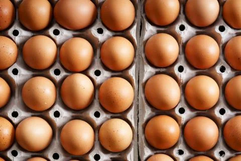 Brown chicken eggs 스톡 사진