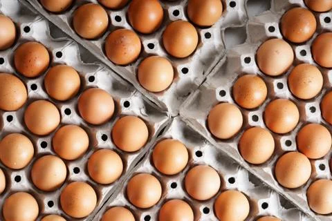Brown chicken eggs 스톡 사진
