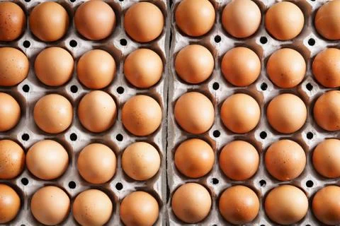 Brown chicken eggs Photos