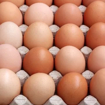 Brown chicken eggs. Stock Photos