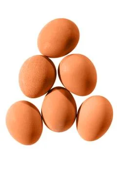 Brown chicken eggs Stock-Fotos