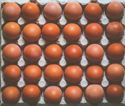 Brown chicken eggs 스톡 사진