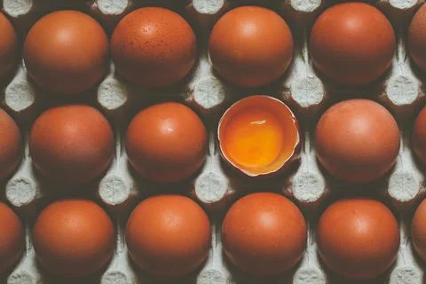 Brown chicken eggs Stock Photos