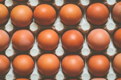 Brown chicken eggs Stock Photos