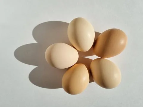 Brown chicken eggs Stock Photos