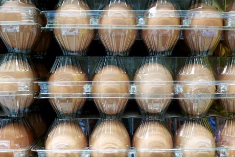 Brown chicken eggs in a plastic container. background Stock Photos