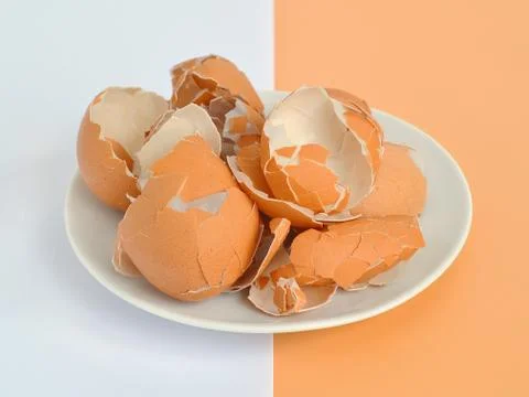Brown chicken eggshell on white saucer on white and brown background Stock Photos