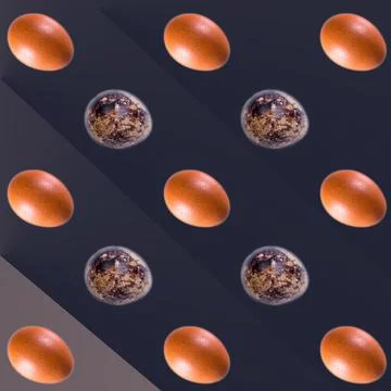 Brown chicken quail eggs lined with pattern, black gradient backgrou イラスト素材