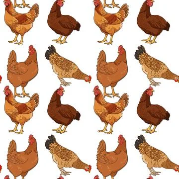 Brown chicken seamless pattern 스톡 일러스트