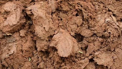 Brown clayey background Stock Footage 75959281