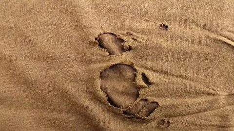 Brown cloth torn and damaged with holes. texture effect Stock Footage 314931460