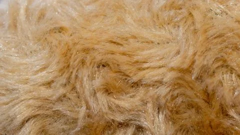 Brown coat with visible texture Stock Photos