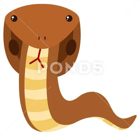 Brown cobra on white background Stock Illustration