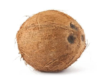 Brown coconut Stock Photos