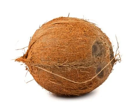 Brown coconut Stock Photos
