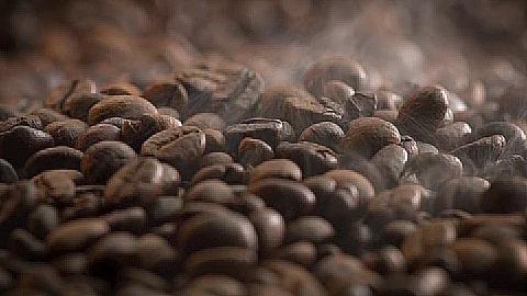 Brown Coffee beans Stock Footage 91524622