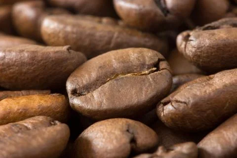 Brown coffee beans Stock Photos
