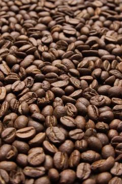 Brown Coffee Beans Stock Photos